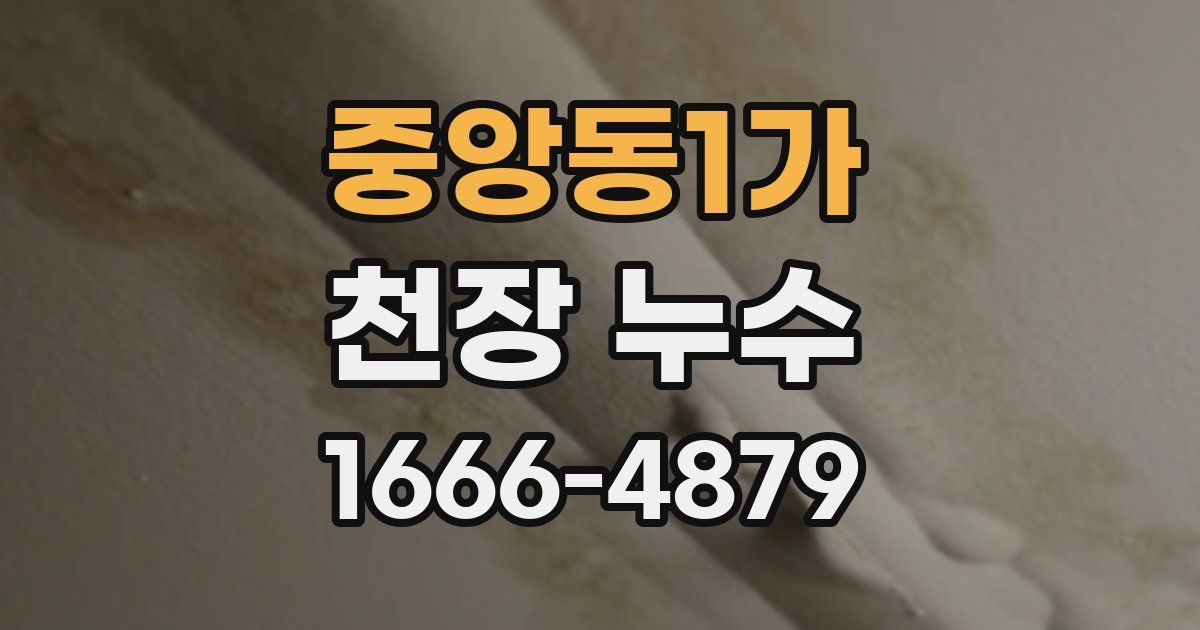 중앙동1가 천장 누수