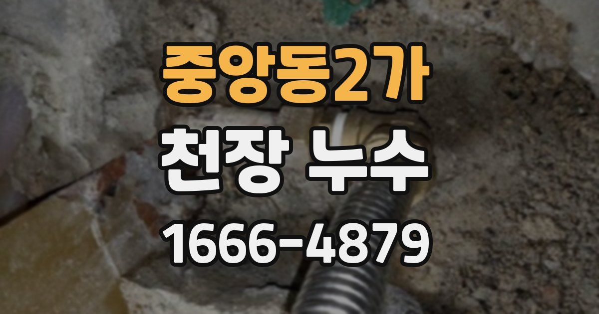 중앙동2가 천장 누수