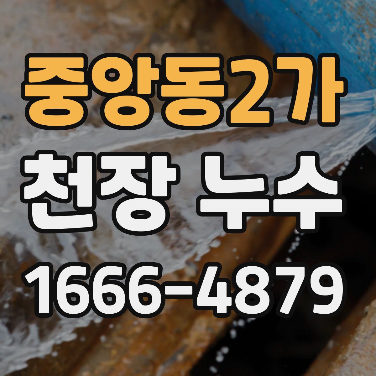 중앙동2가 천장 누수