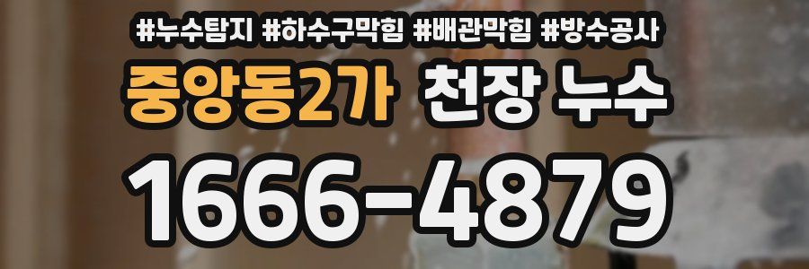 중앙동2가 천장 누수