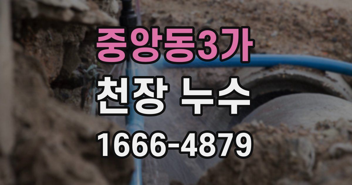 중앙동3가 천장 누수