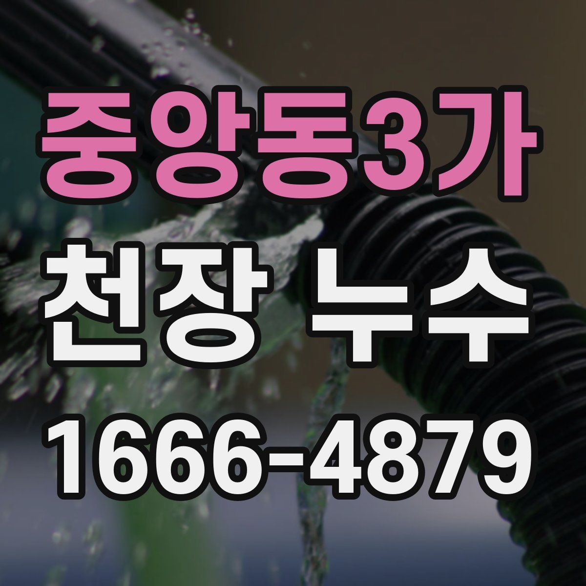 중앙동3가 천장 누수