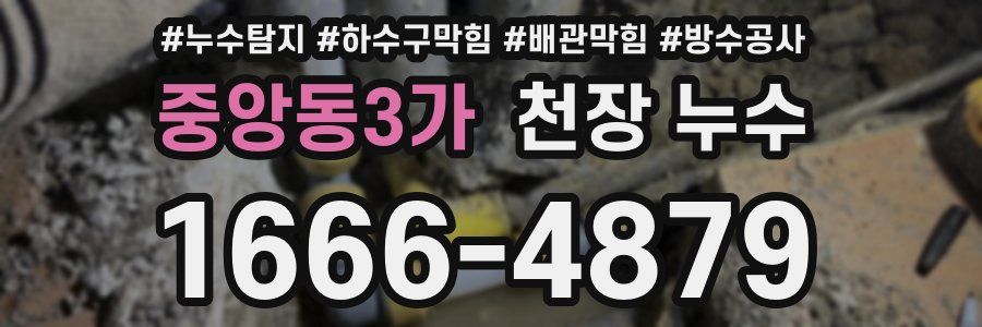 중앙동3가 천장 누수