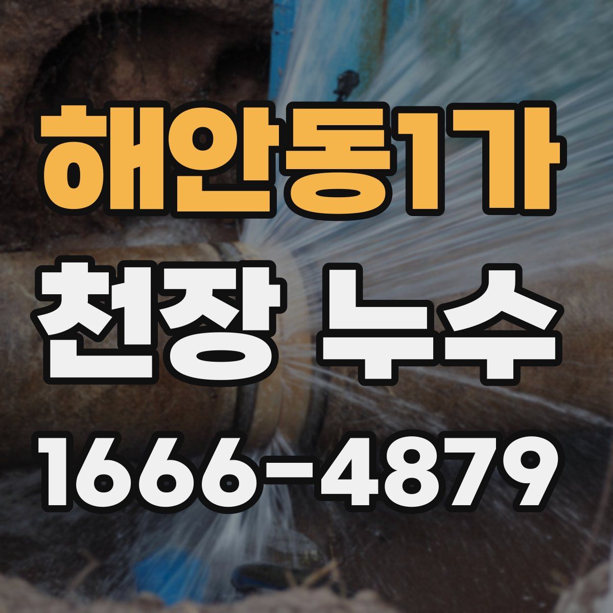 해안동1가 천장 누수