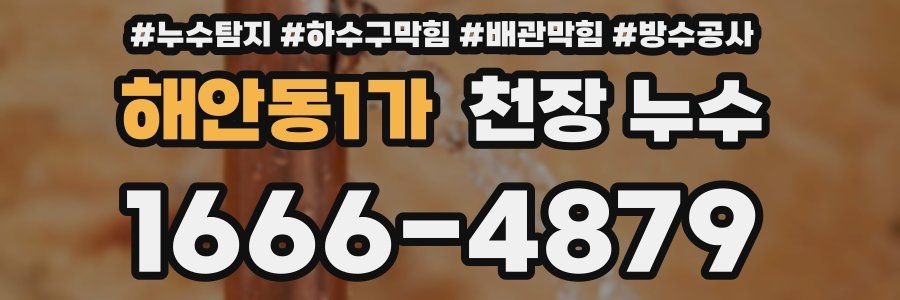 해안동1가 천장 누수
