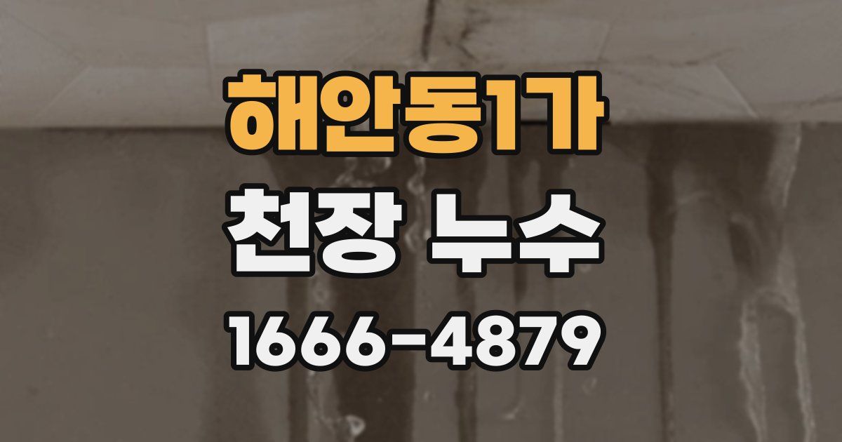 해안동1가 천장 누수