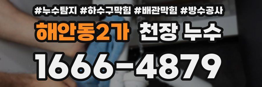 해안동2가 천장 누수