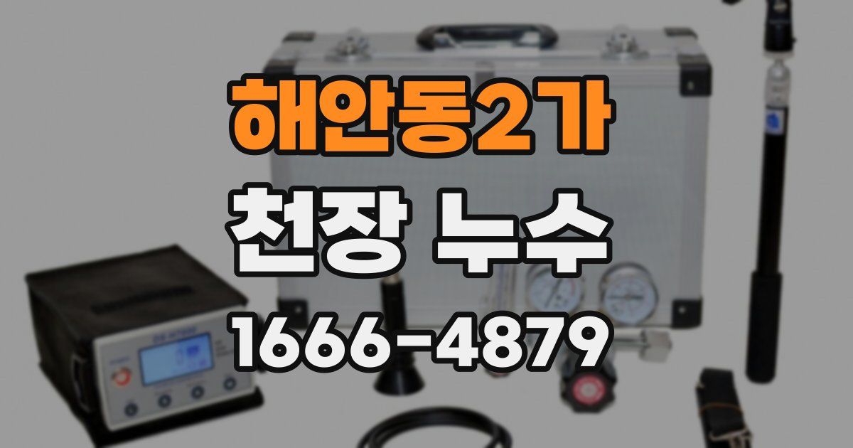 해안동2가 천장 누수