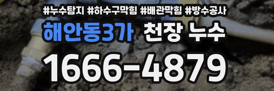 해안동3가 천장 누수