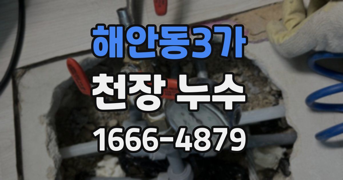 해안동3가 천장 누수
