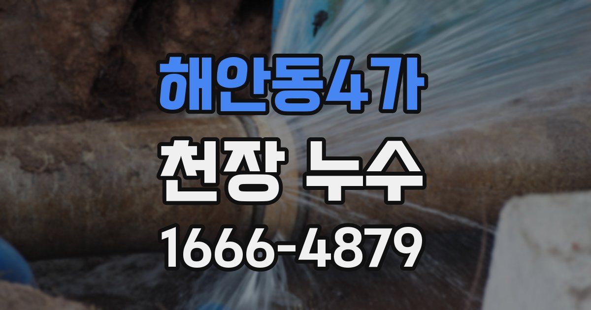 해안동4가 천장 누수