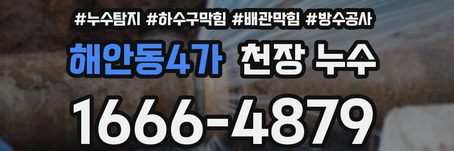 해안동4가 천장 누수