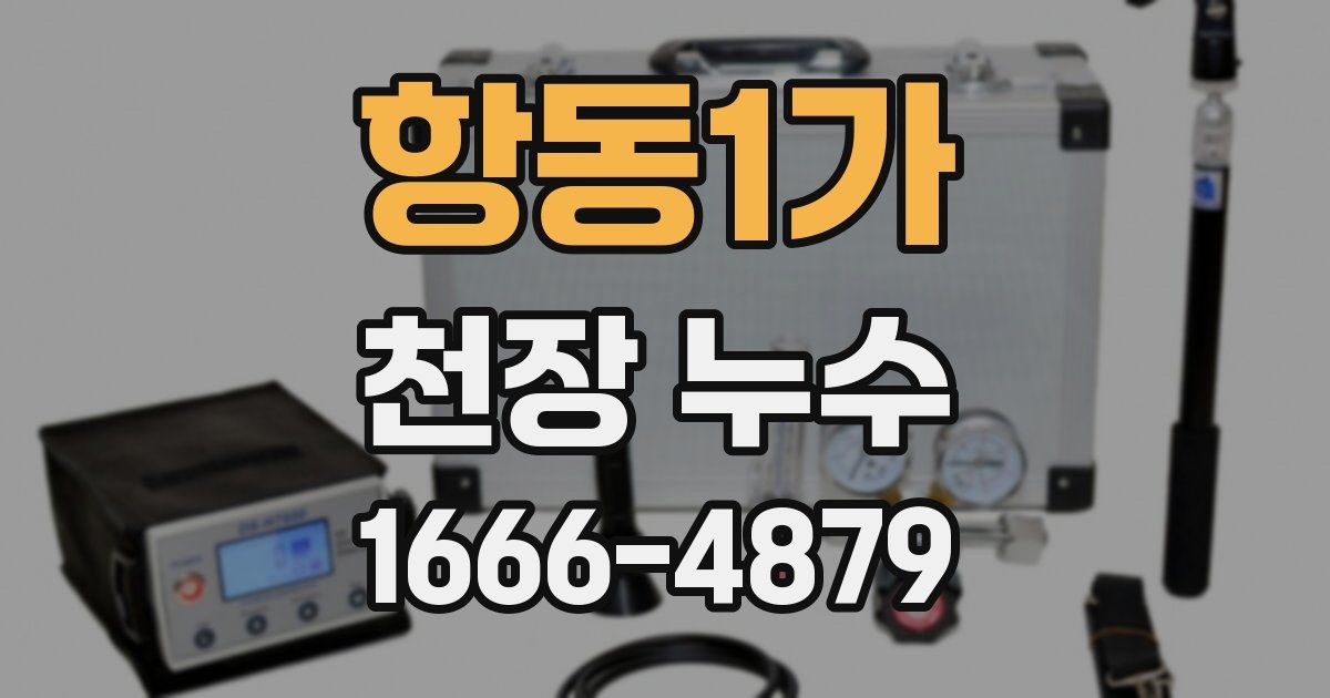 항동1가 천장 누수