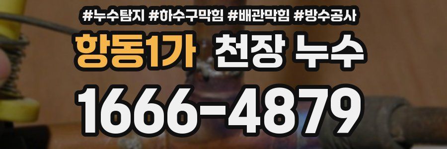 항동1가 천장 누수