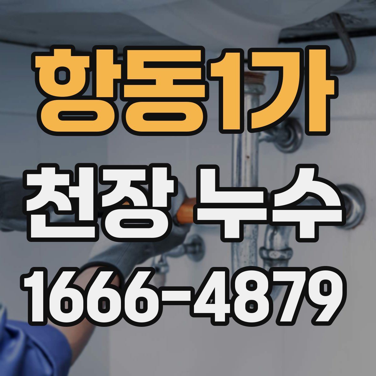 항동1가 천장 누수
