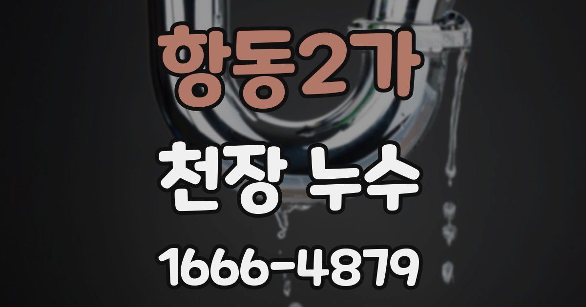 항동2가 천장 누수
