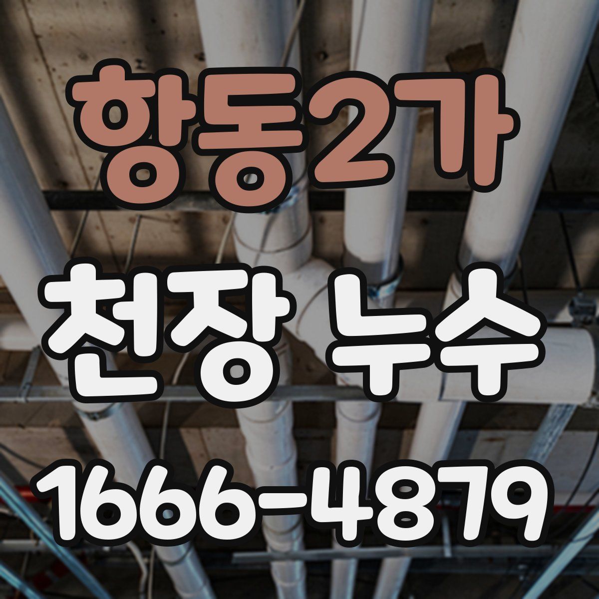 항동2가 천장 누수