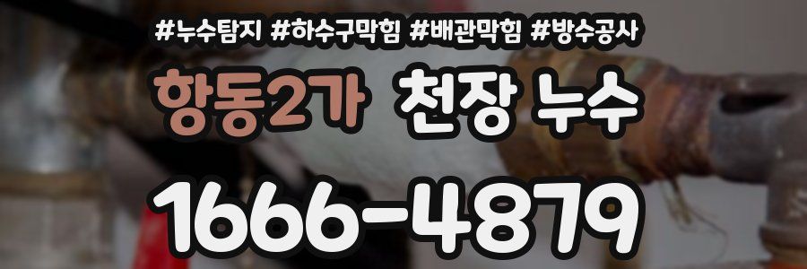 항동2가 천장 누수