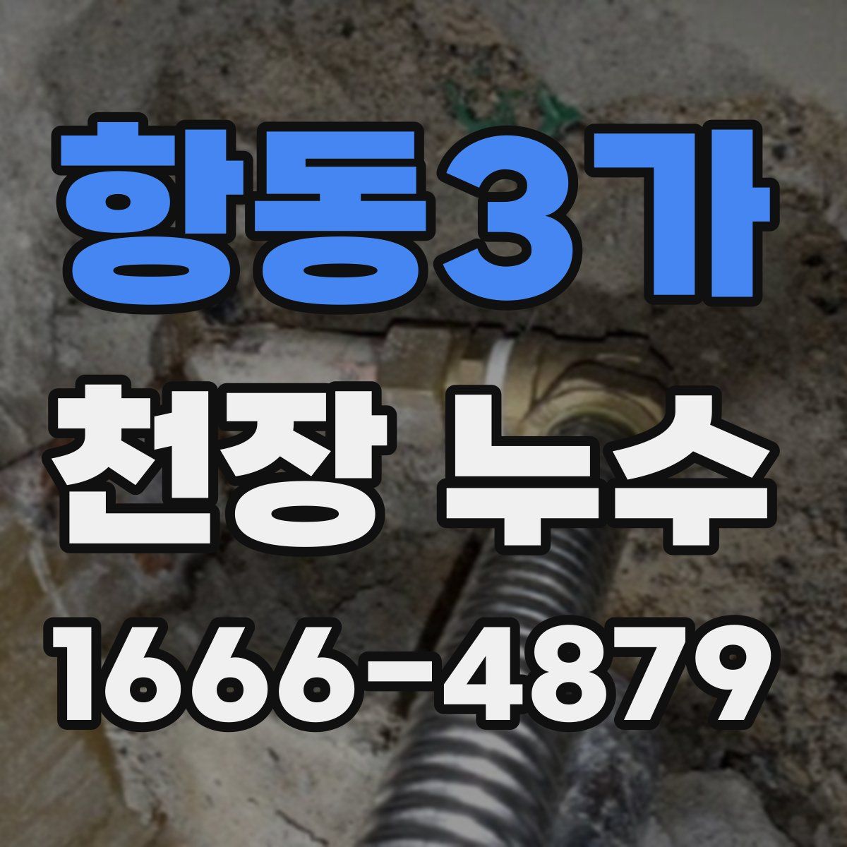 항동3가 천장 누수