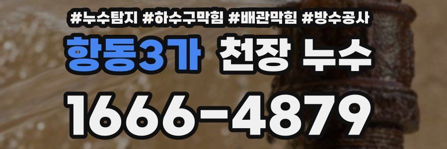 항동3가 천장 누수