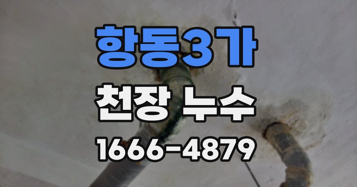 항동3가 천장 누수