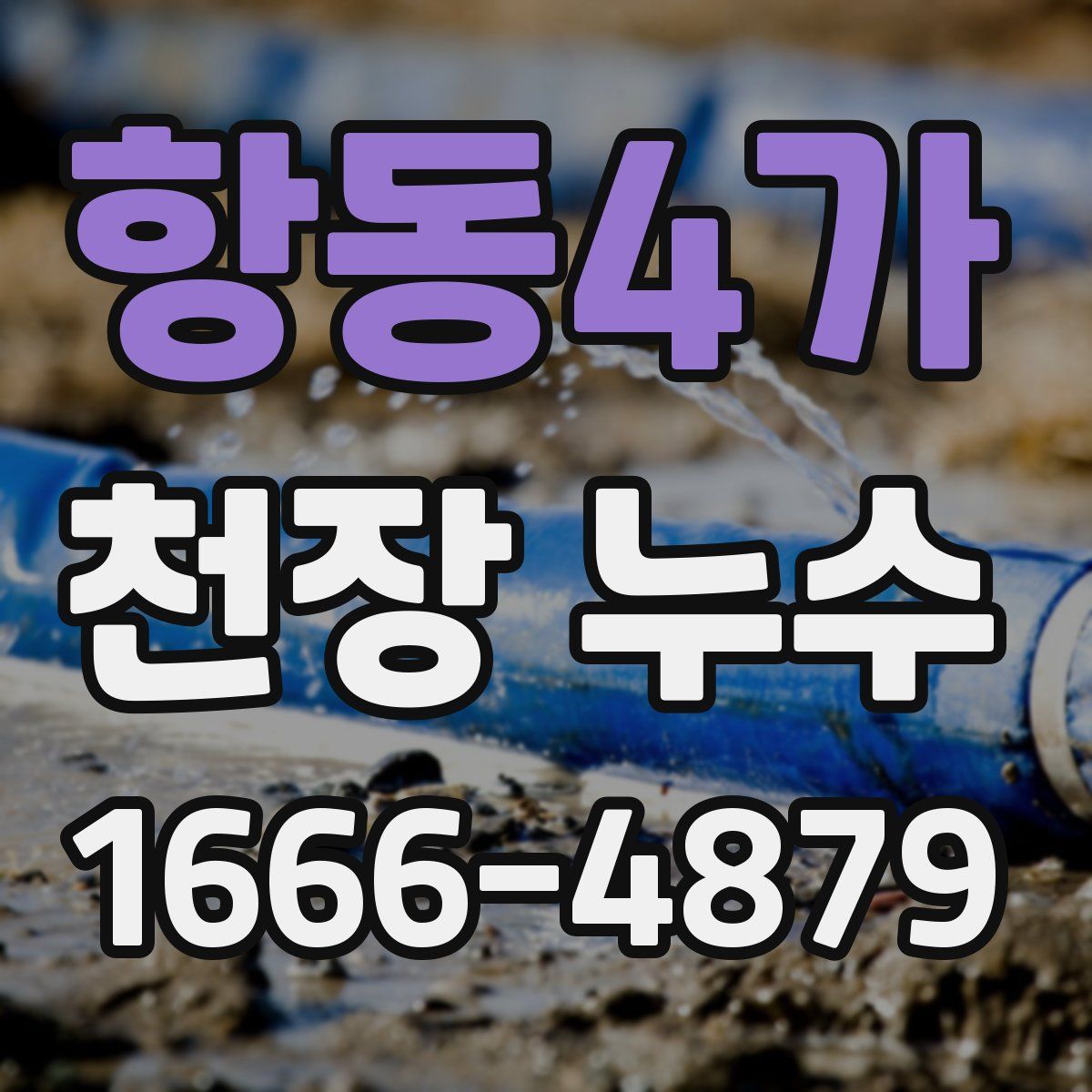 항동4가 천장 누수