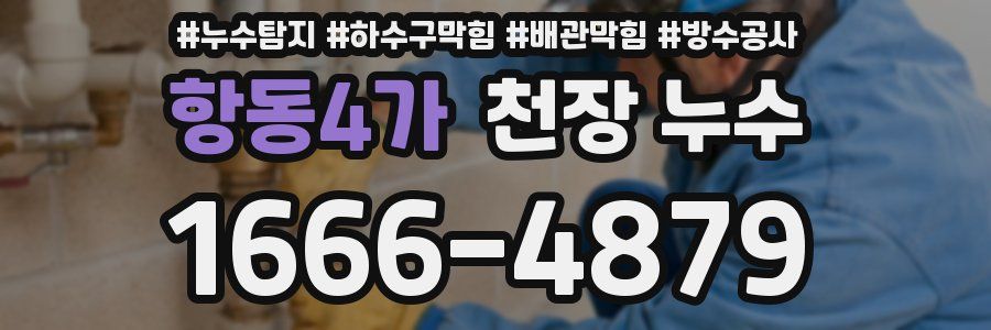 항동4가 천장 누수