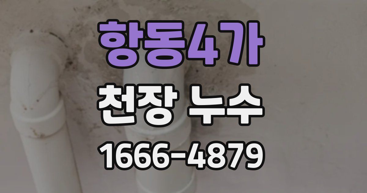 항동4가 천장 누수