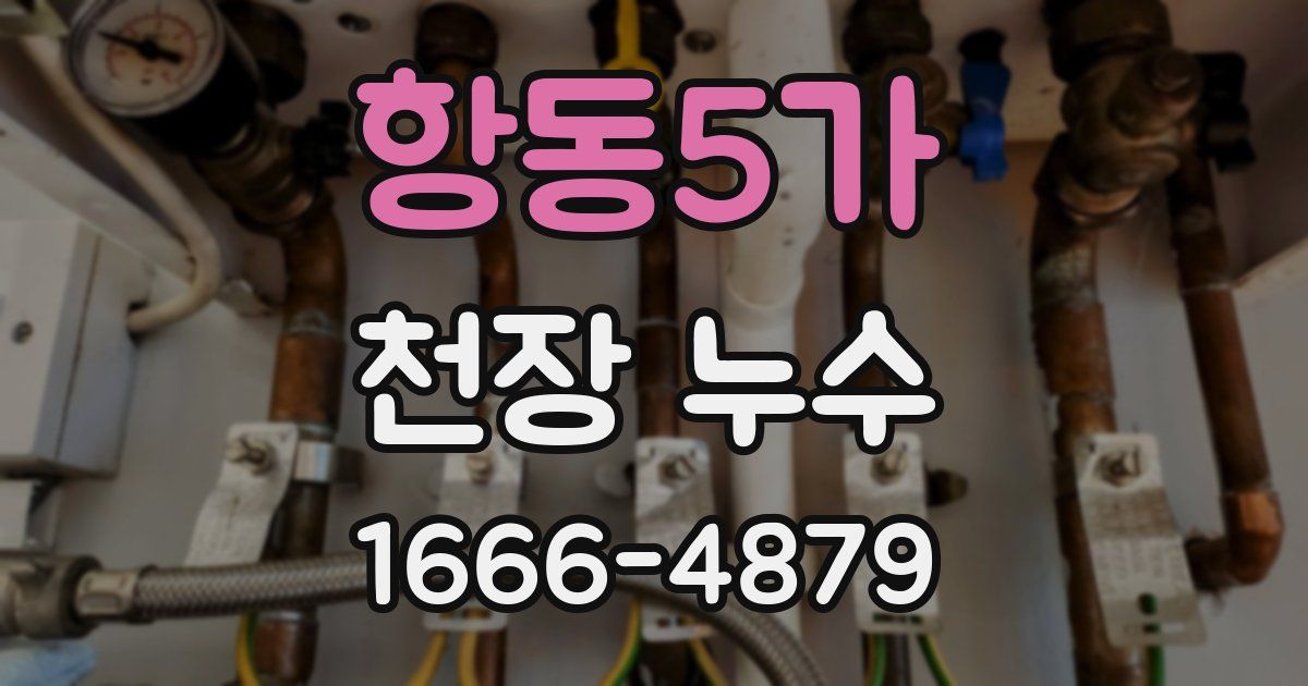항동5가 천장 누수