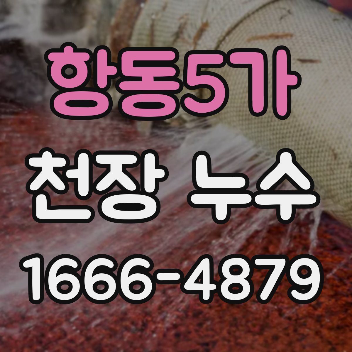 항동5가 천장 누수