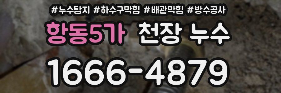 항동5가 천장 누수
