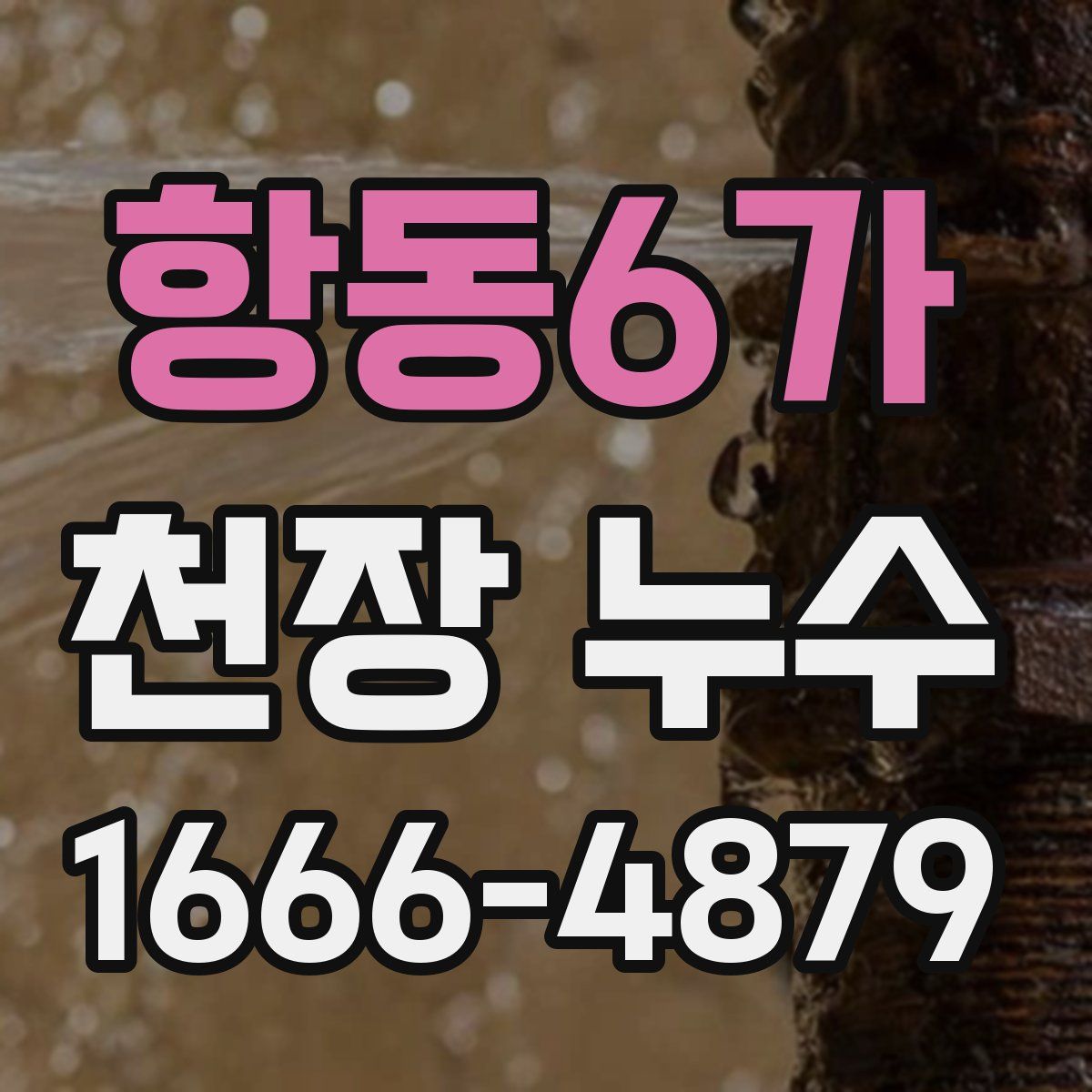 항동6가 천장 누수