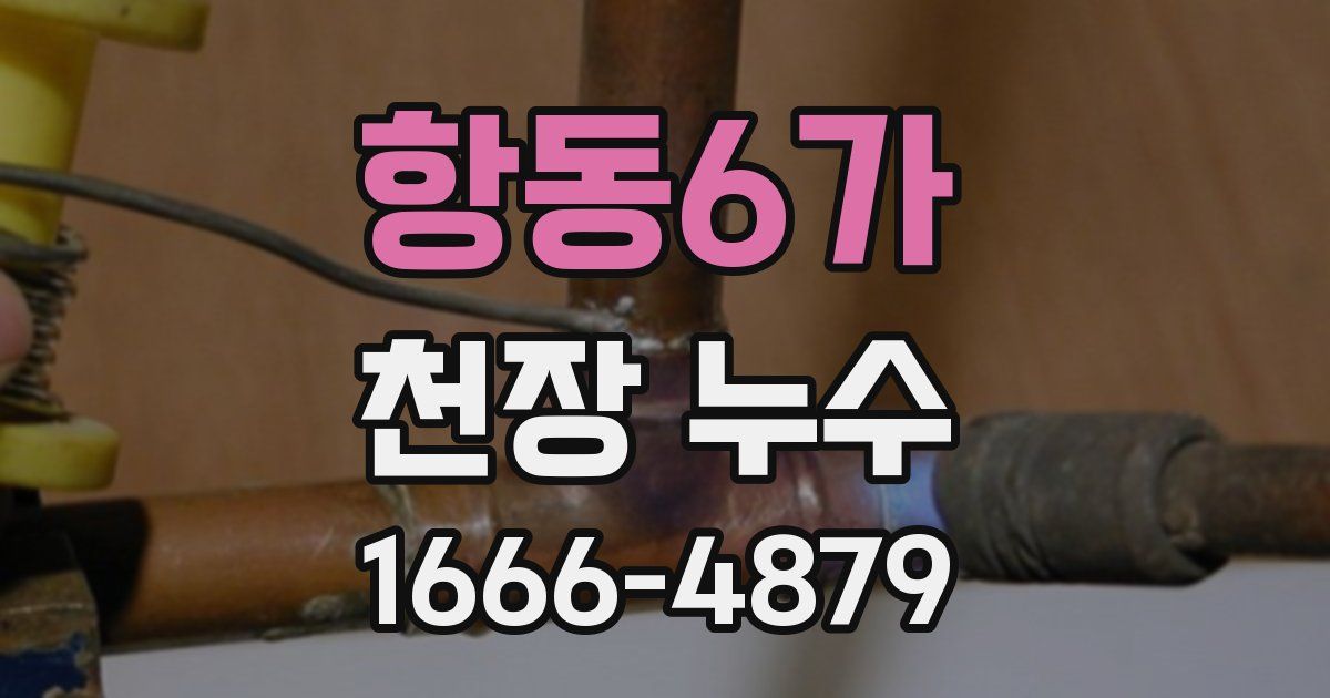 항동6가 천장 누수