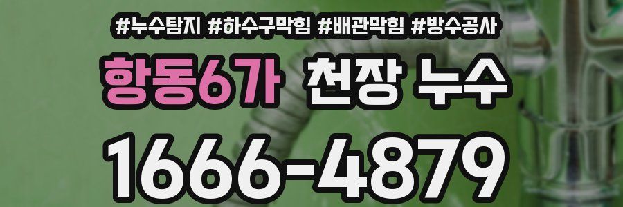 항동6가 천장 누수