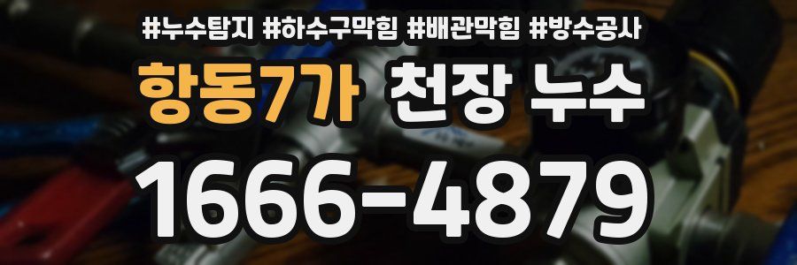 항동7가 천장 누수