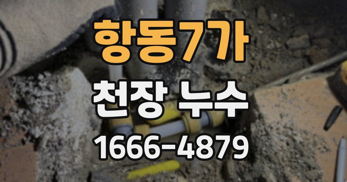 항동7가 천장 누수
