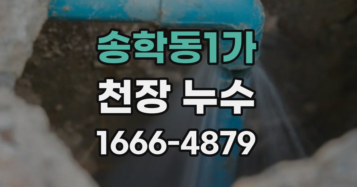송학동1가 천장 누수
