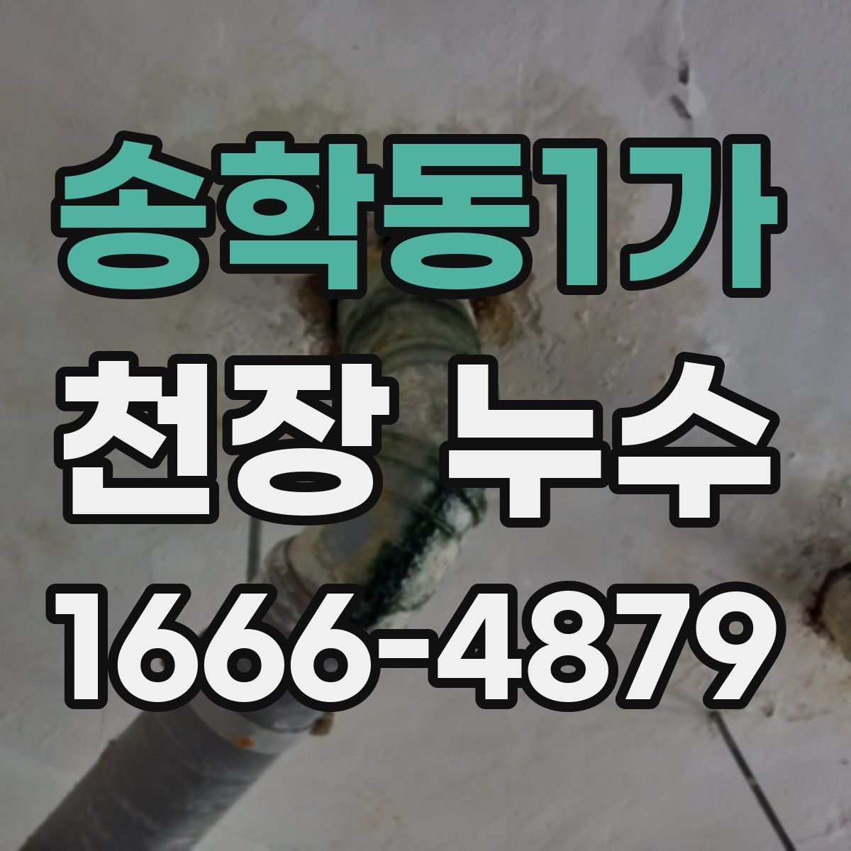 송학동1가 천장 누수