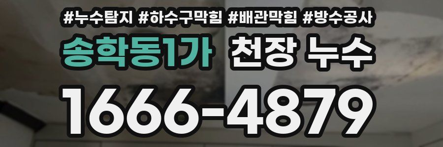 송학동1가 천장 누수