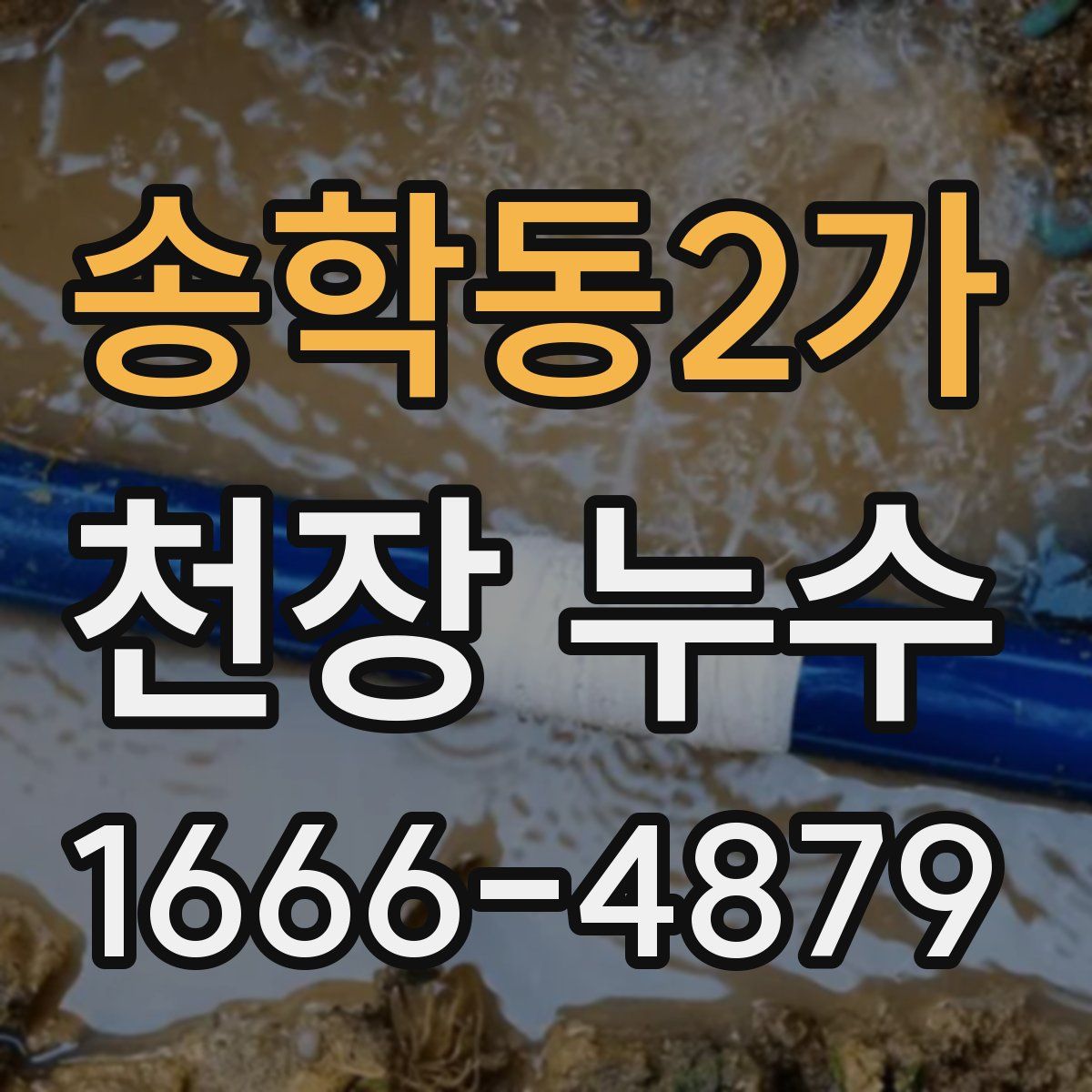 송학동2가 천장 누수