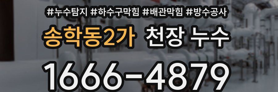 송학동2가 천장 누수