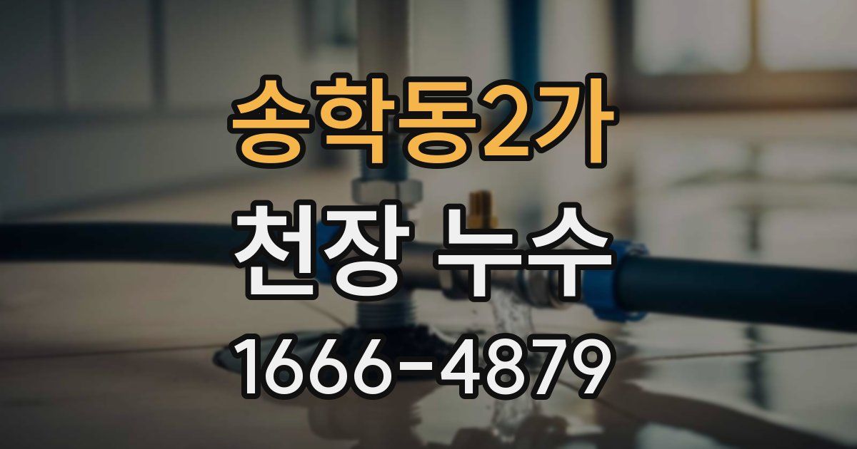 송학동2가 천장 누수