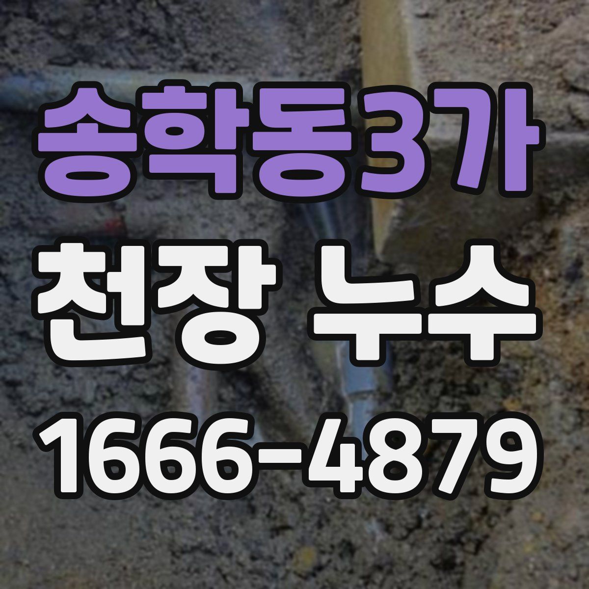 송학동3가 천장 누수
