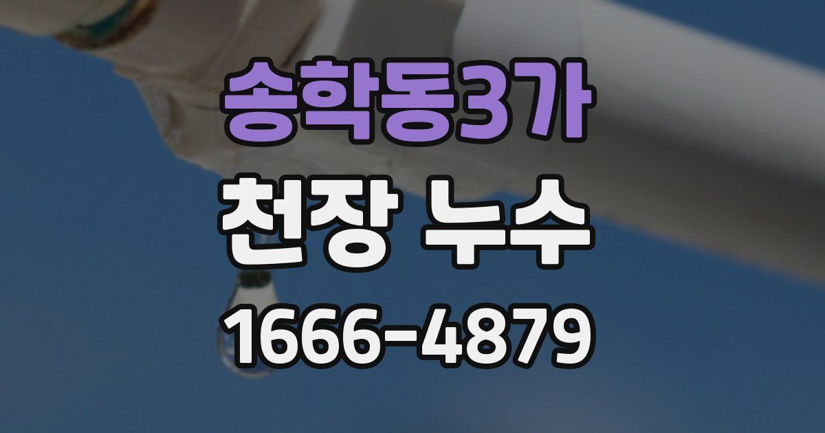 송학동3가 천장 누수