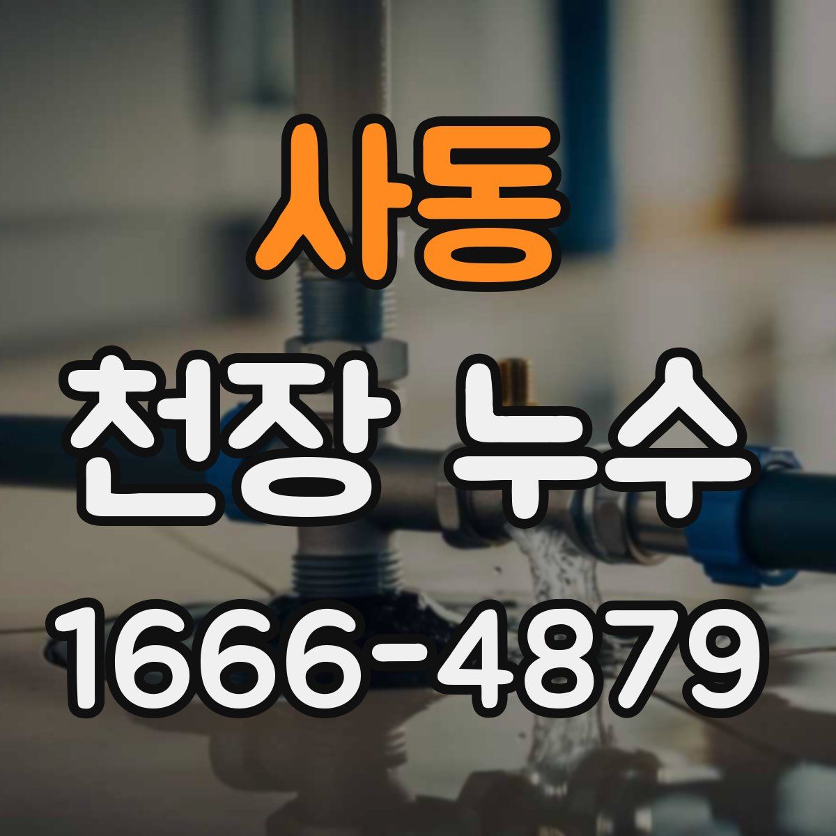 사동 천장 누수