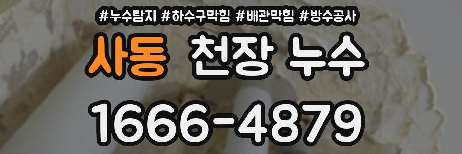 사동 천장 누수