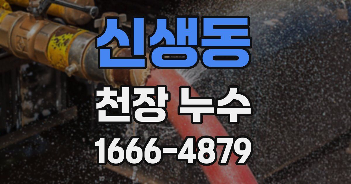 신생동 천장 누수