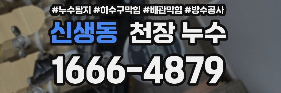 신생동 천장 누수