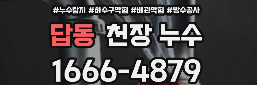 답동 천장 누수