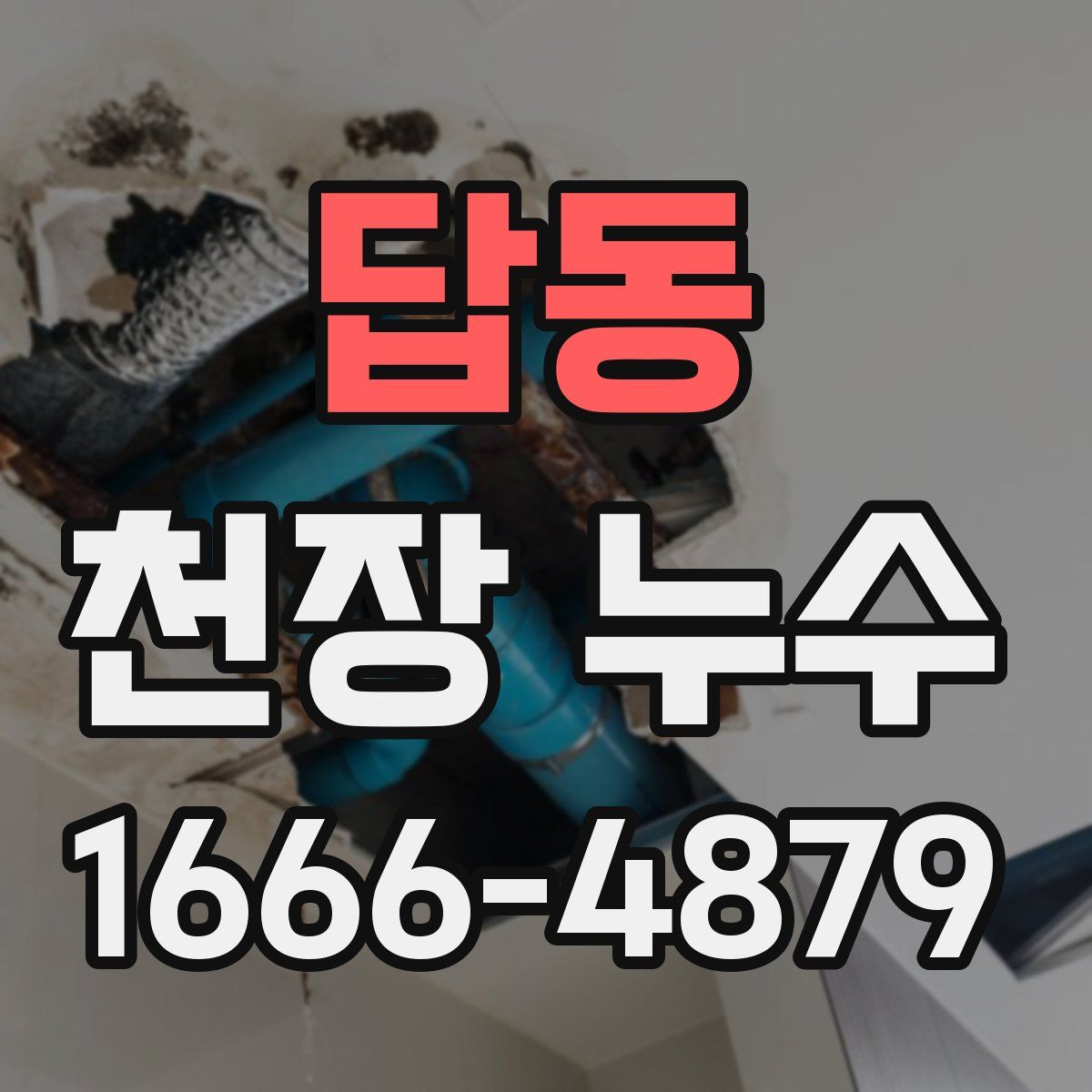 답동 천장 누수